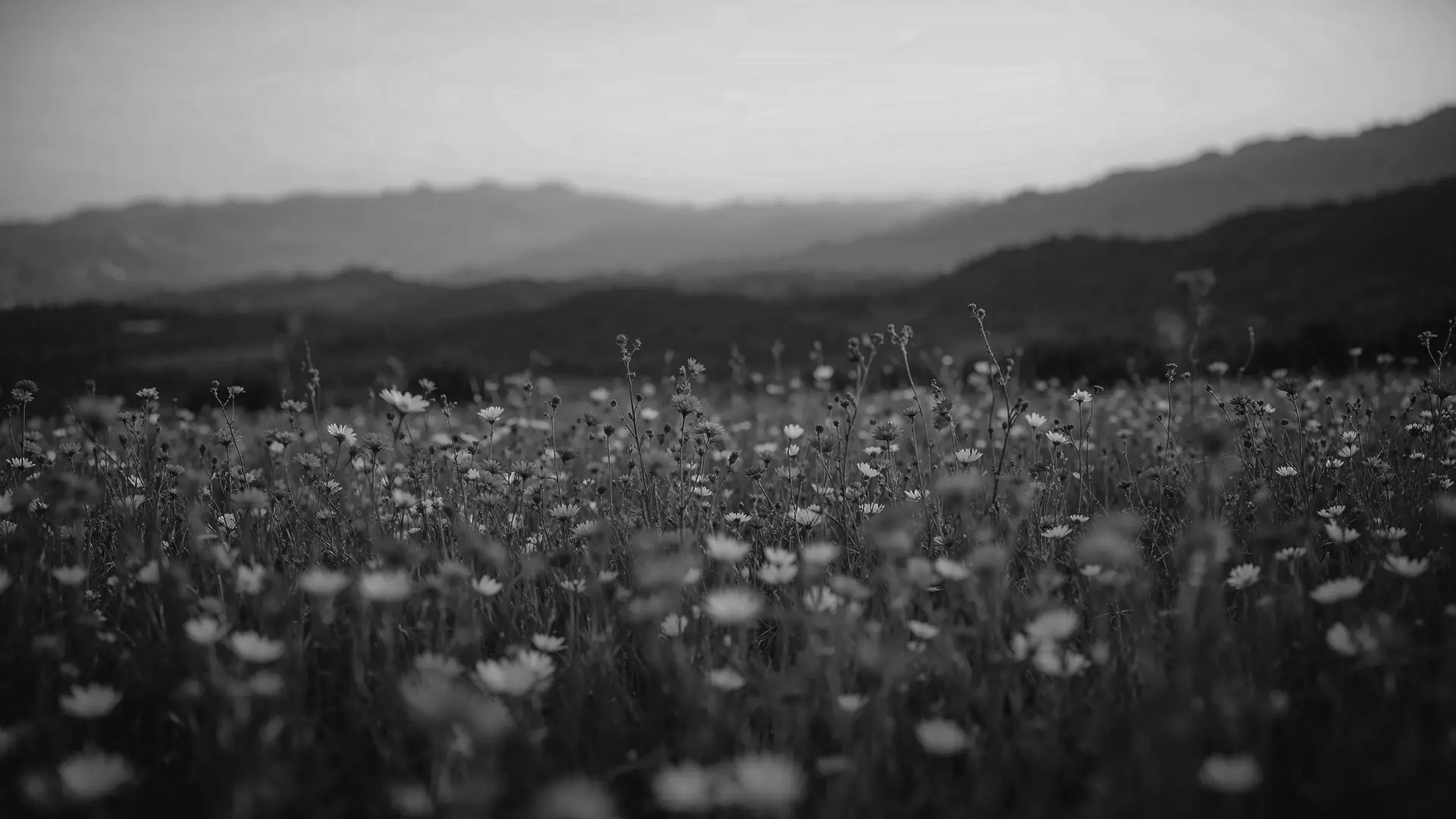 Momenture Hero Image